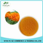 Eye Health Product Marigold Powder Extract Lutein 5 % - 20 %