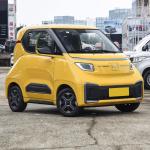 All Electric Wuling Hongguang Nano EV Vehicle 2 Seater