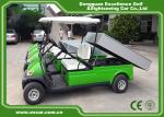 2 Passenger Electric Utility Carts / Electric Food Cart With 48v Trojan