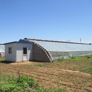 Quality Tomato Passive Solar Greenhouse With Electric Roll Up Ventilation wholesale