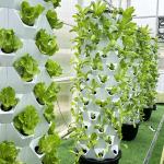 Growart Tower Hydroponic Growing System Automatic Visible Water Line Space