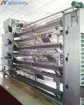 4 Tiers Layer Battery Cage Poultry Farming Battery Cage System