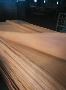 Quality sell PLB veneer wholesale