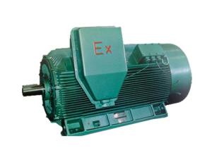 YBX2 Series Explosion-Isolation Three-Phase Asynchronous Motor
