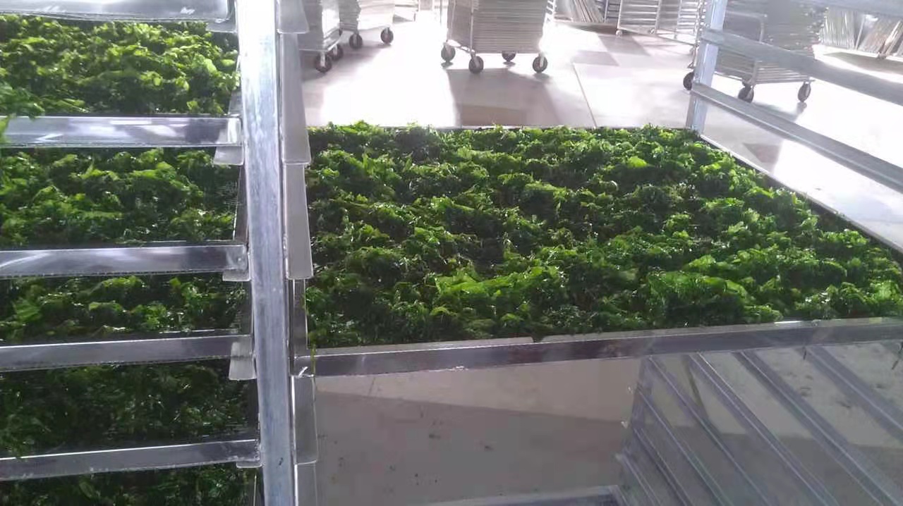 Hot Dried Aonori Flakes Green Leaves for Irresistible Philippine Seaweed Snacks