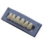 High Durability Artificial Acrylic Teeth VITA High Stain Impact Resistance