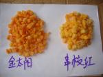 IQF Frozen Apricot Cubes / dices, peeled and pitted, blanched