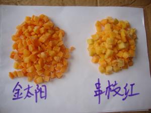 Quality IQF Frozen Apricot Cubes / dices, peeled and pitted, blanched wholesale