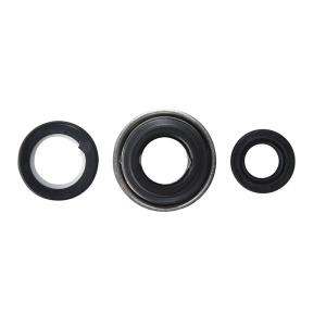Quality Water Pump Seal Set for 250cc Scooter Go Kart wholesale