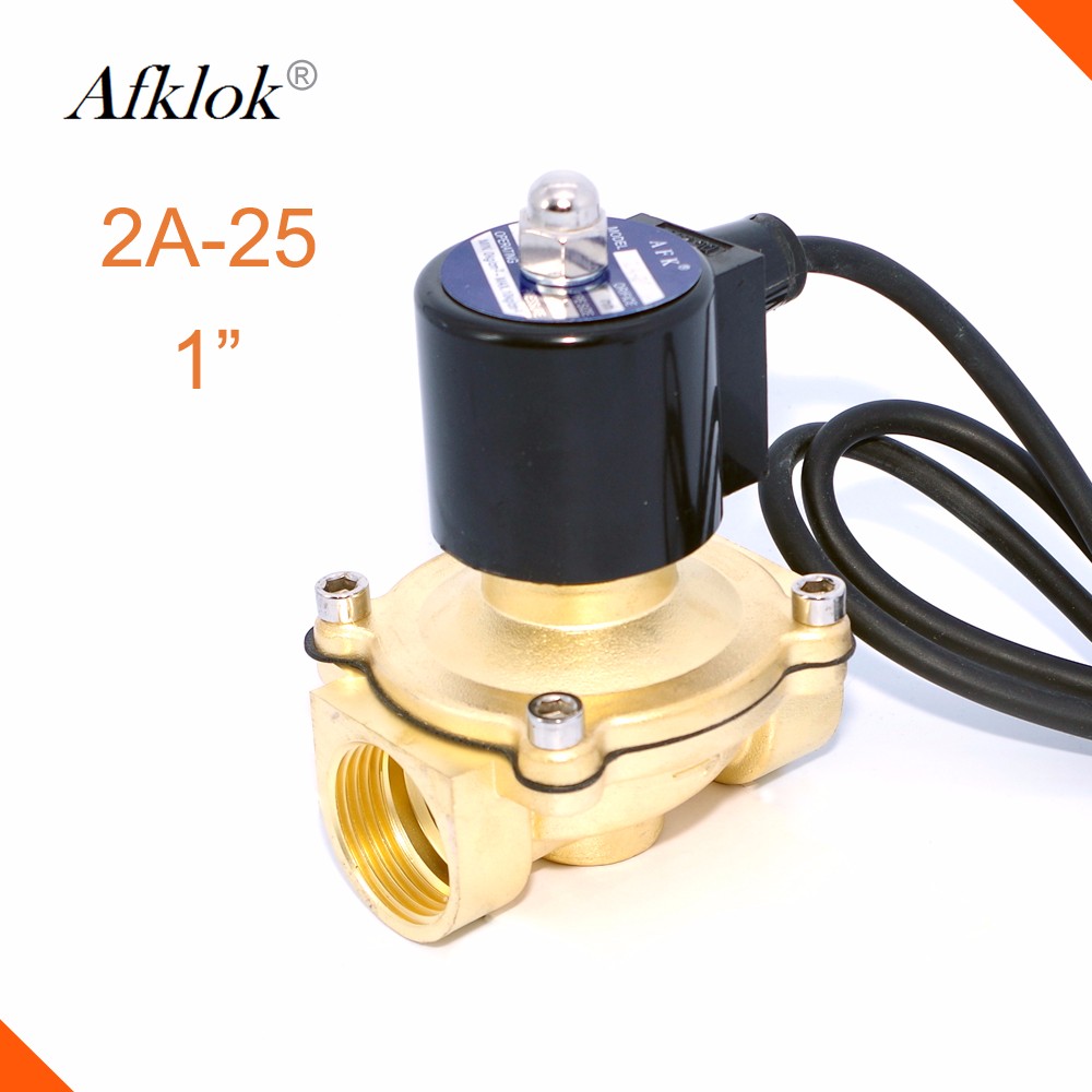 2A Series IP68 Class Normally Closed 1-1/4" Water Solenoid Valve 12V DC