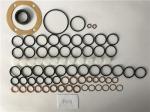 Diesel Car 801671 Fuel Injection Pump Repair Kit 190440-0390