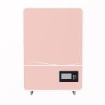 5kw Home Energy Storage System Wall Mount LiFePO4 Battery 51.2V 100Ah
