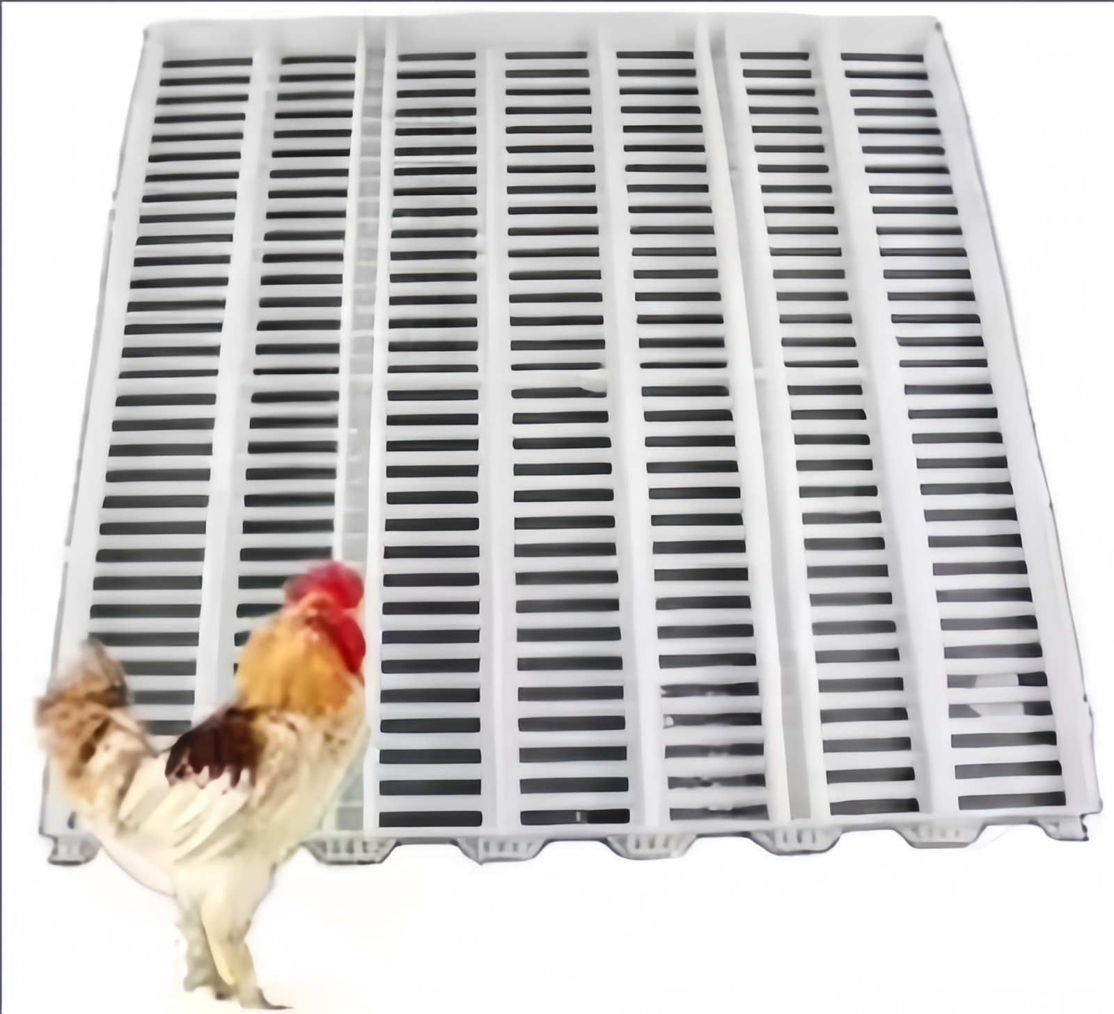 Non Slip Poultry Farm Equipment Plastic Slatted Flooring For Broiler Chicken