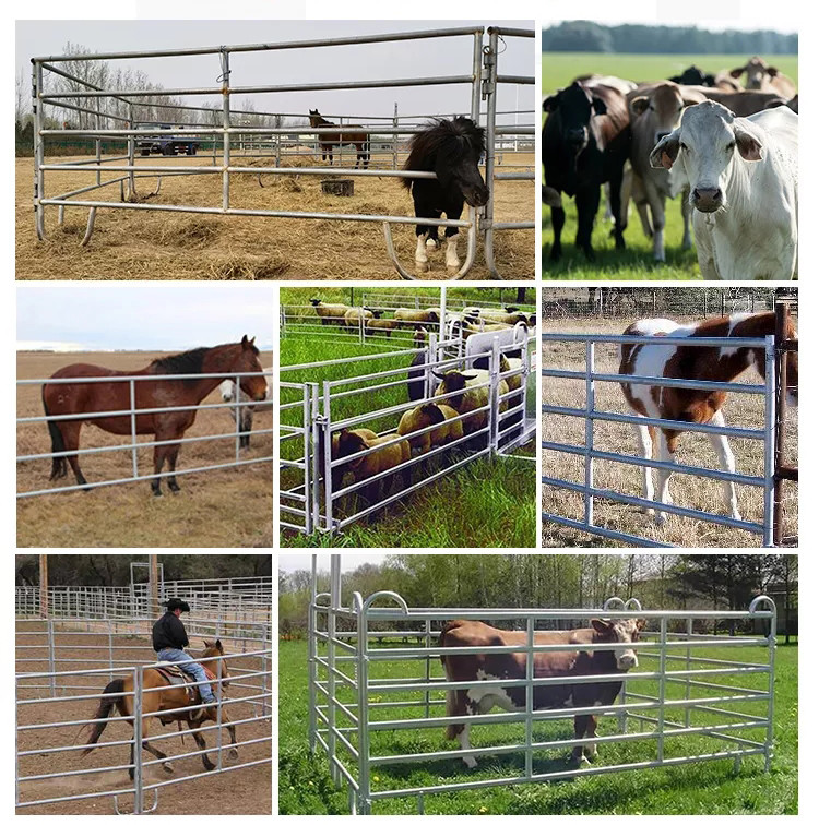 Australia Horse Galvanized Livestock Fencing Corral Welded Wire Horse Panels