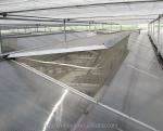Industrial Polycarbonate Sheet Greenhouses Ideal for Growing Vegetable Fruits