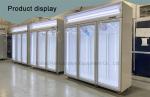 Upright Freezer Philippines / Malaysia Used Commercial Ice Cream Display