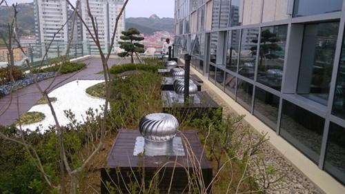 Appropriate price preference no power roof ventilation fan with specialized