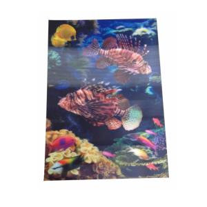 Quality Waterproof 0.40mm PET Aquarium Pattern Paper Print Poster wholesale