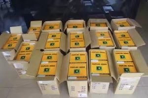 Excavator Hydraulic Pump Coupling type 50H Steel+PU Coupling