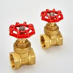 Manual Female Thread Water Forged 200 Wog Brass Gate Valve with 1 Piece Minimum