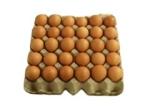 Small Egg Tray Maker With Metal Dryer Waste Paper Egg Tray Machine