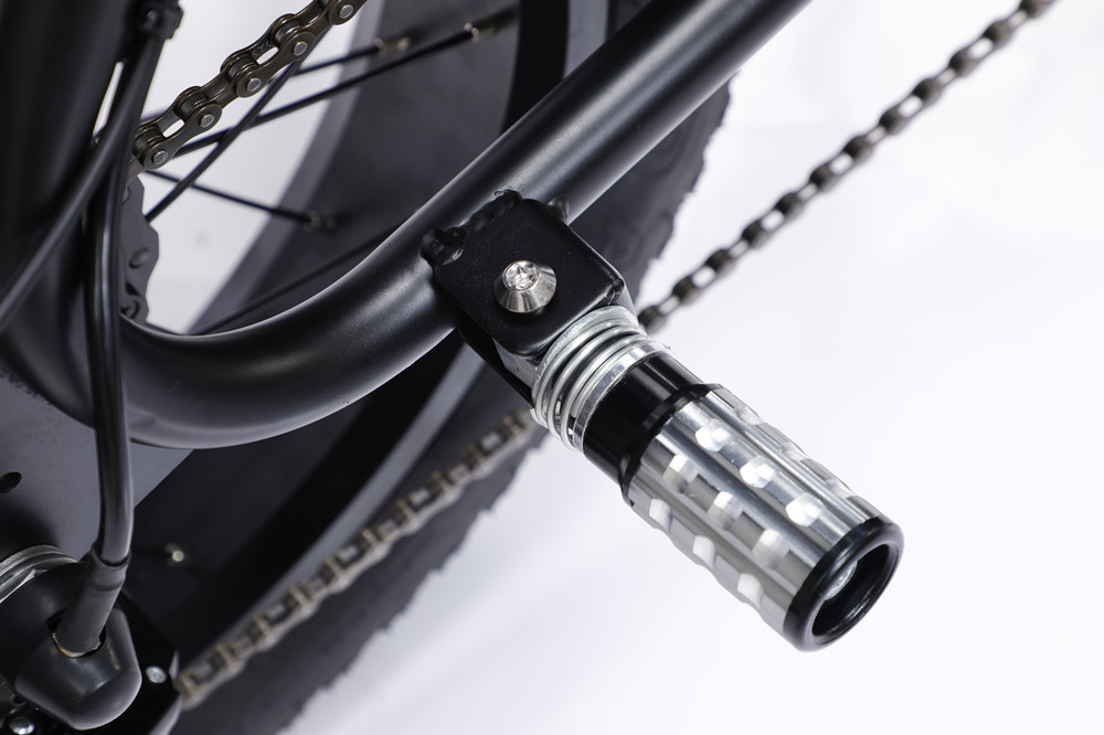 48V 750W Motor Electric Hybrid Bike Full Suspension 20 Inch Fat Tire Ebike 17Ah Battery