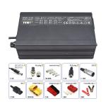 Lifepo4 12 Volt Electric Car Battery Charger Safe Universal Compatibility