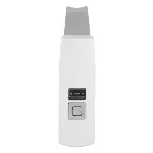 Quality 100 V - 240 V Home Facial Device , BF1203 Good Ultrasound Skin Scrubber wholesale