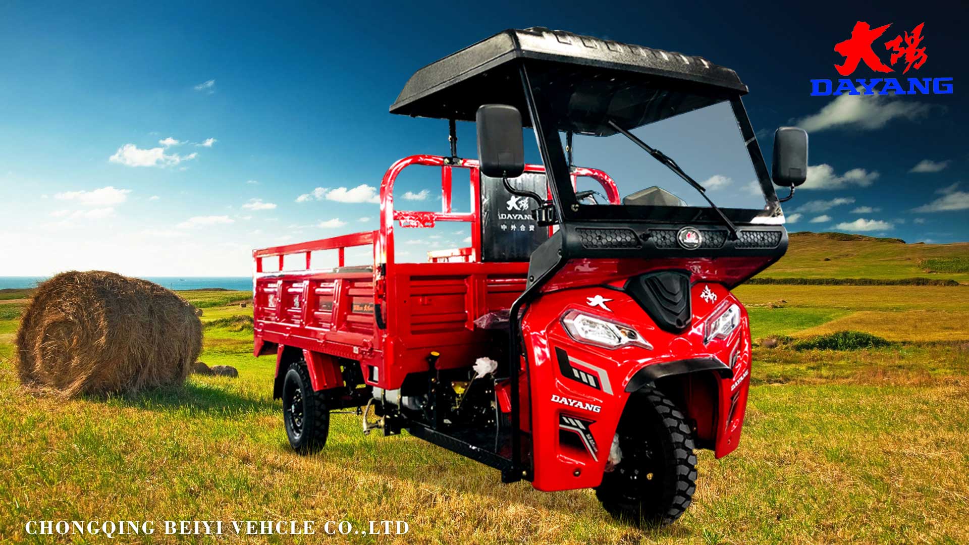 Rear Spring Leafs 5 2 Motorized Lift Cargo Tricycle in Egypt with Zongshen 250cc Engine