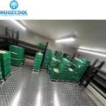 Industrial 20FT Cold Storage Room with Refrigeration Unit Optimal Cooling