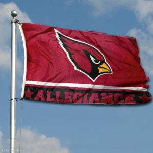 Quality 100% Polyester Screen Printed Vote Flag Single Sided Custom Outdoor Indoor wholesale