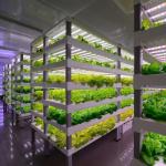 High Humidity Vertical Farming Hydroponic Container Greenhouse For Vegetables