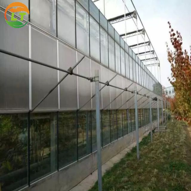 Multi-Span Agricultural Greenhouses with Hot Galvanized Steel Transparent Solar Panels