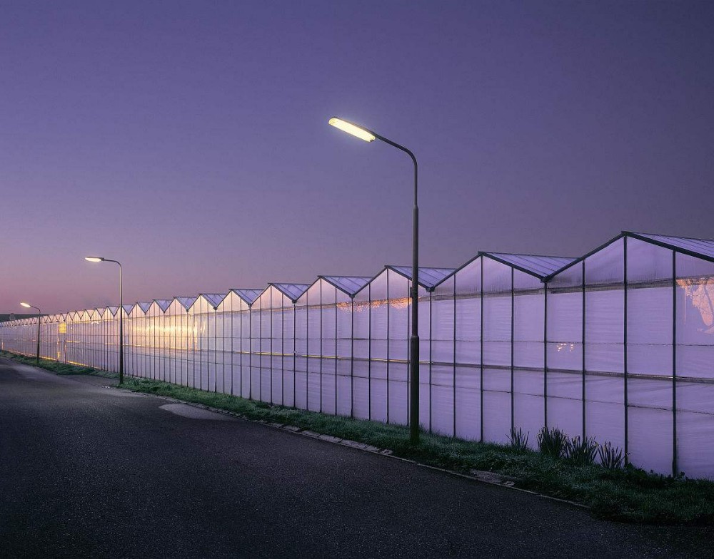 Polycarbonate Sheet Aquaponic Tomato Galvanized Steel Pipe For Prefabricated PcTent Greenhouse
