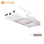 Floriculture AC277V High Bay Led Light Interchangeable Lenses T828