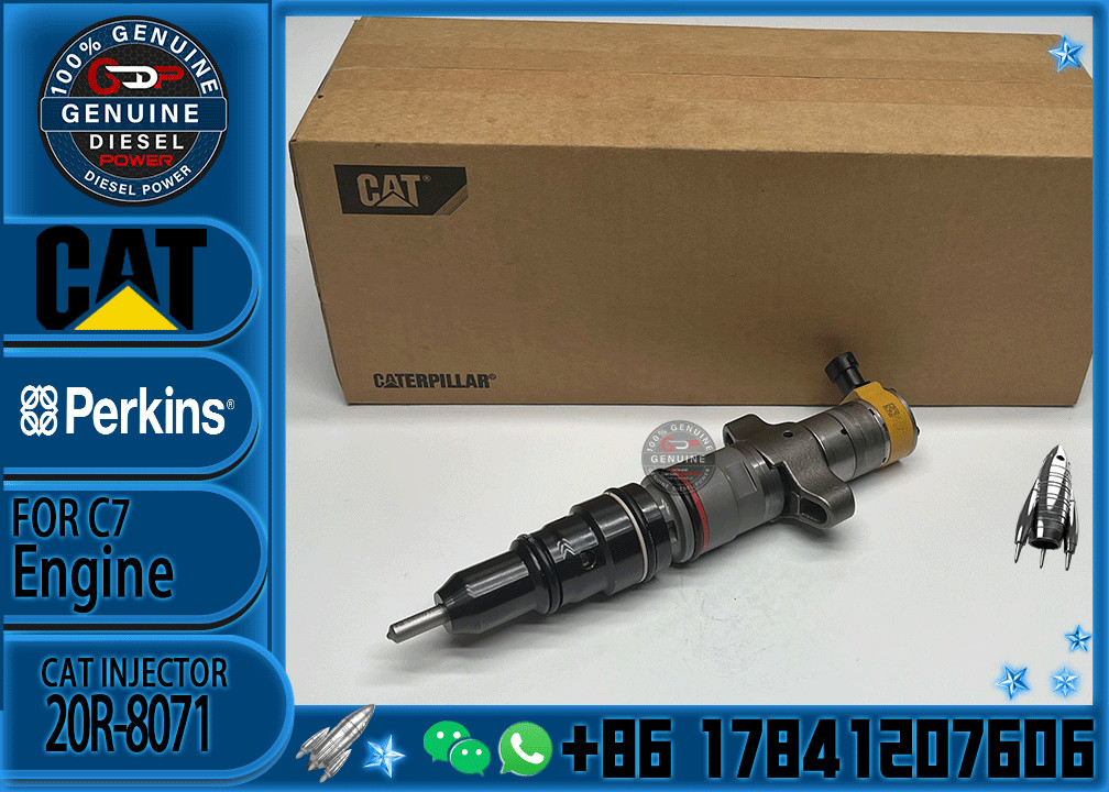 Diesel Engine Parts Common Rail Fuel Injector 20R-8071 for CAT C7 Diesel Engine CNDIP Factory price