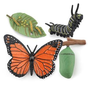 Quality Realistic 4 PCS Butterfly Animal Life Cycle Insect Growth Model Toys Party Favors Toy for Boys Girls Kids wholesale