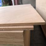 Mildewproof Poplar Hardwood Veneer Plywood Harmless Practical