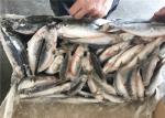 90g Frozen Fishing Bait