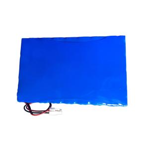 Quality 16V 12000 MAH Blue Lithium Lifepo4 Battery For E Bike wholesale