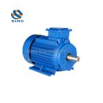 IE2 160m-4-11kw 15 HP Three Phase Motor 380V 50Hz 60Hz IP55 Class F Electric
