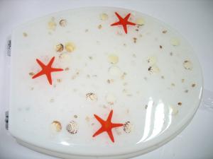 Quality sea star shell toilet seat,poly resin decorated seat cover,color box,zinc alloy hinge wholesale