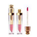 Nude Colors Moisturizing Cosmetics Ladies Glossy Lip Gloss