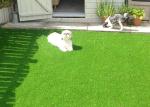 Pet-Friendly Artificial Playground Padded Turf For Dogs UV Resistant