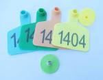 sell animal cattle ear tag,laser ear tag,cow ear tag,material SGS certificate