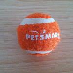 animal dog tennis ball