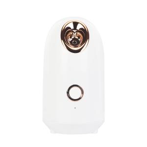 Quality One Click Home Ion Spray Nano Ionic Facial Steamer wholesale