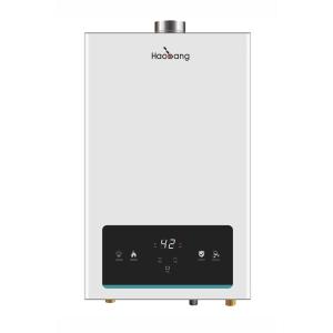 Quality 220V 10L 16KW Constant Temperature Gas Water Heater White Homeland wholesale