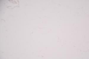 Quality High Hardness Antifouling Artificial Quartz Stone Kitchen Countertop With NSF wholesale