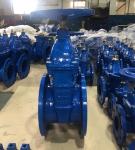 DN100 PN16 GGG50 non-rising gate valve